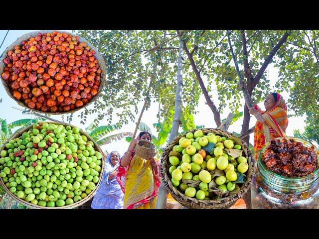 প্রত্যেক বছরের মতন এবছরও ঠাকুমা কুলের আচার বানালো | Kuler Achar |