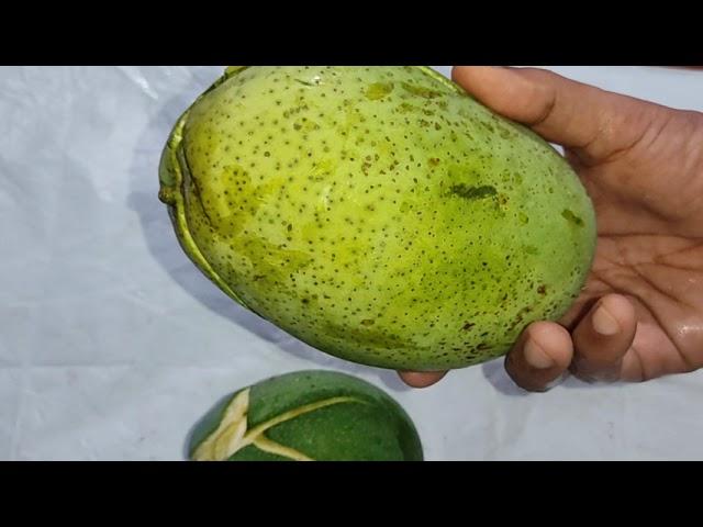 Have you seen such big mangoes?