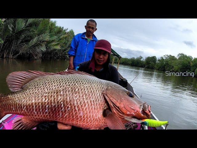 Saat Kondisi Begini Ikannya Tambah Agresif & Lebih Besar  Mancing Ikan Kakap Besar di Muara Sungai