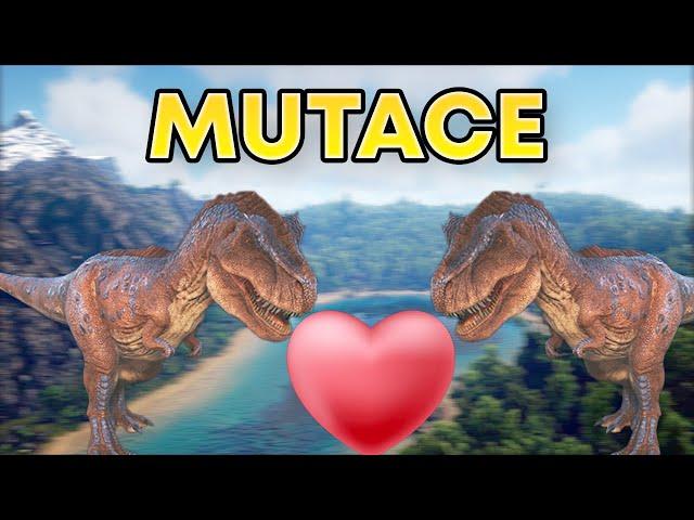  PROFI MUTACE | ARK SURVIVAL EVOLVED 