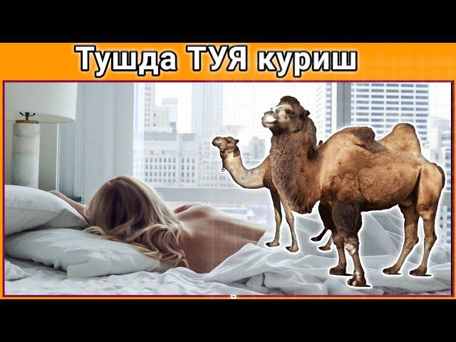 Тушда ТУЯ куриш туш таьбири || Tushda TUYA ko'rish tush tabiri