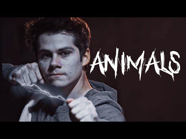 Void Stiles || Animals