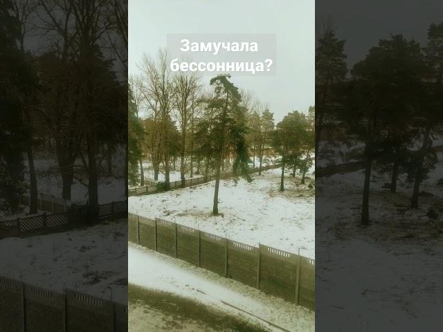 #БЕССОННИЦА #shortvideo #shorts #добрые_знания #26january #церковныепраздники #молитва #молитвы