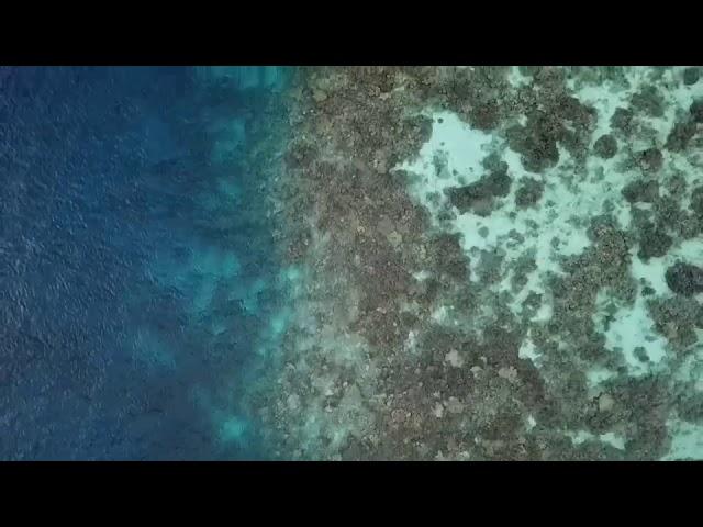 Yacht Yoga on Carpe Vita in the Middle of the Indian Ocean