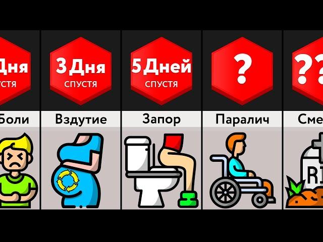 Что Будет, Если Перестать Какать?