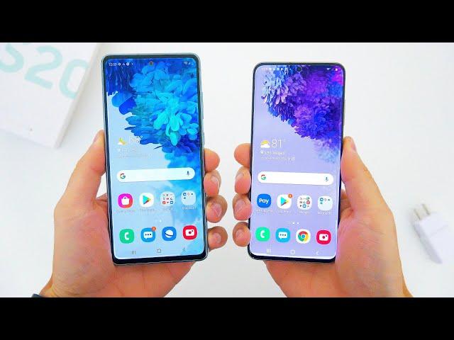 Samsung Galaxy S20 FE (Fan Edition) vs. S20 Flagship -  What's The Difference?