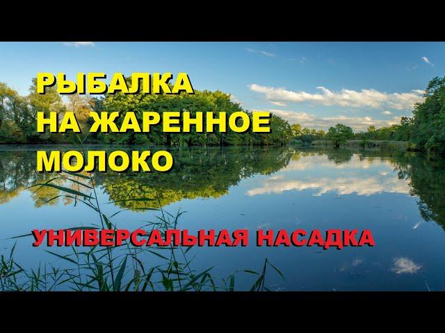 РЫБАЛКА на Жаренное МОЛОКО. SeMano TV