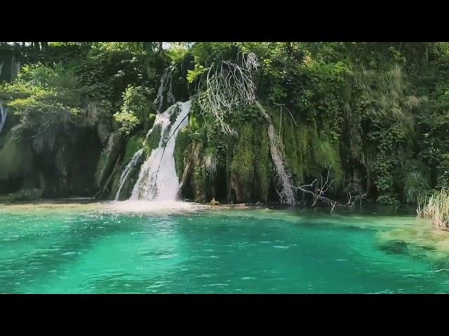 Прогулянка Плитвіцькими озерами та водоспадами.