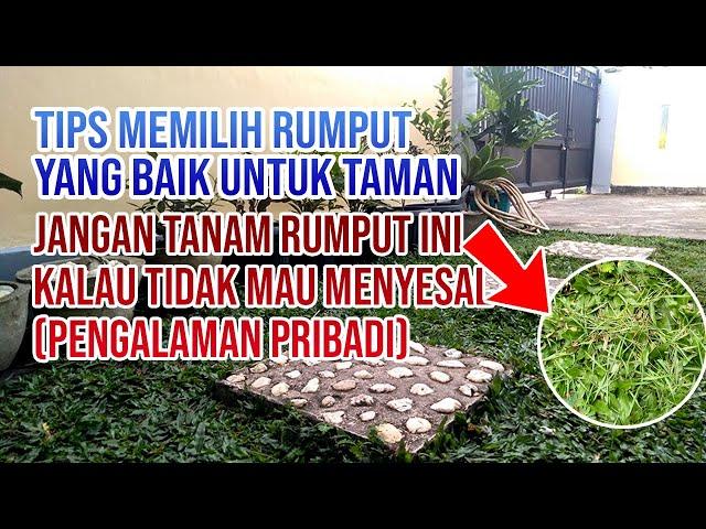 Tips Memilih Rumput Yang Baik dan Cocok buat Taman,  New 2021