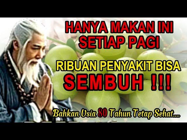 Ribuan Penyakit Sembuh Hanya Makan Ini Setiap Pagi (Rahasia Tubuh Sehat)