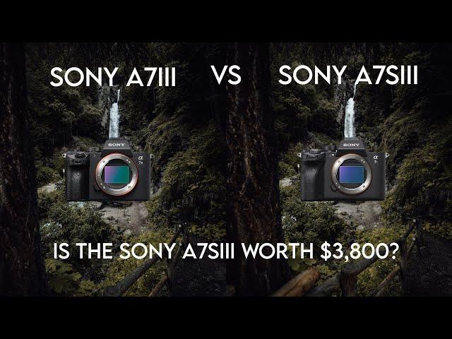 Sony A7siii Vs Sony A7iii... Is the A7siii worth $3,800