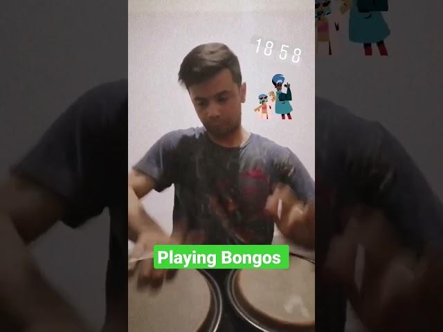 Playing Bongos. Drummer Shaxa Dhol. Percussionist  #short #shorts #drums #percussion