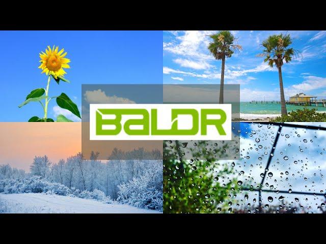 Get to Know Baldr Electronic