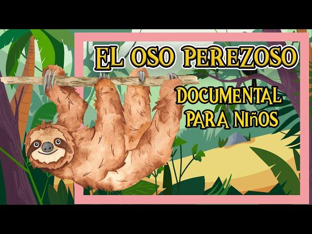 EL OSO PEREZOSO   | Videos educativos para niños | Los animales | Documentales para niños