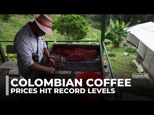 Colombian coffee farmers thrive on high prices but face volatile markets and climate uncertainty