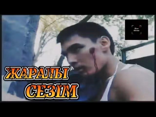 Бұл фильм есіңде ме? |  Жаралы сезім / 2007 жыл