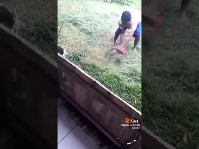 Cutting the grass like real men