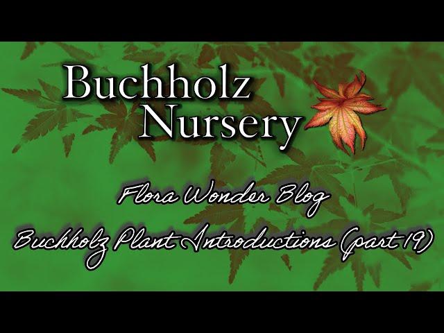 Flora Wonder | Buchholz Plant Introductions (Part 19)