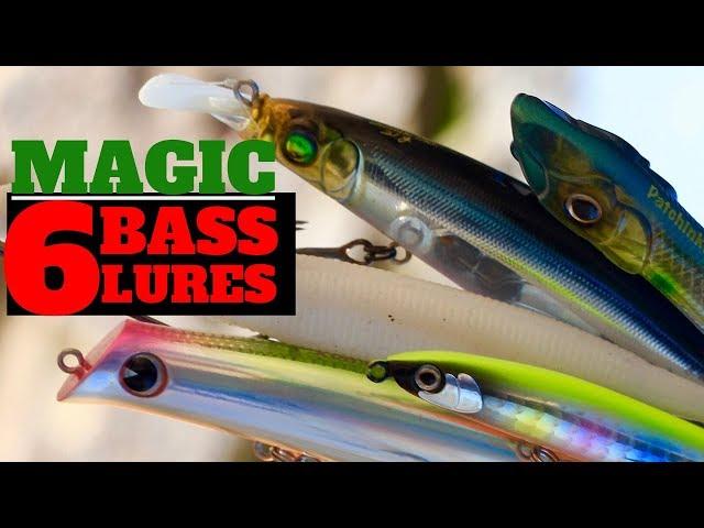 6 Must Have Bass lures for Sea Fishing