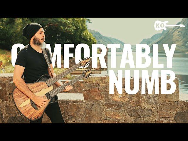 Pink Floyd - Comfortably Numb - Guitar Cover by Kfir Ochaion - Emerald Guitars