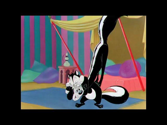 Times Penelope Pussycat Reciprocates Love Back To Pepe Le Pew