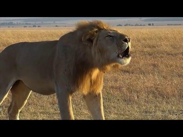 KIDEPO VALLEY NATIONAL PARK DOCUMENTARY (True African Wilderness) #tourism #Kidepo #nationalpark