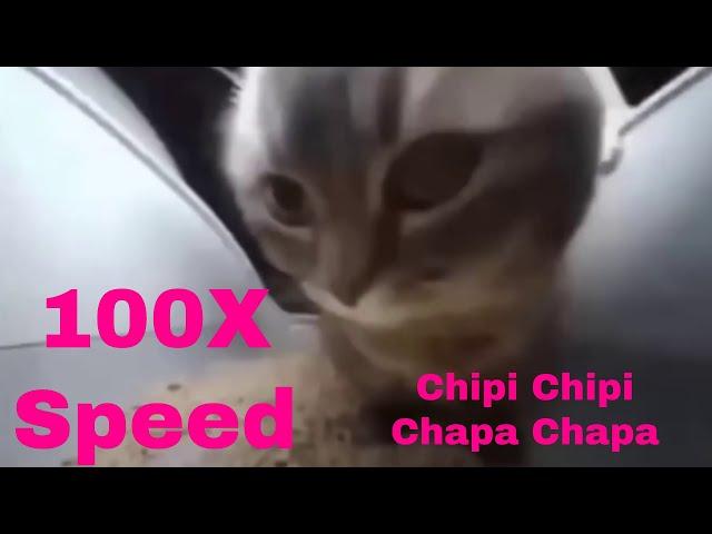 Chipi Chipi Chapa Chapa at 2,5,10 and 100 TIMES SPEED