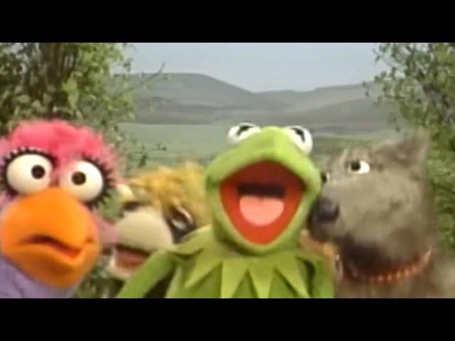 Sesame Street: Do-op Hop With Kermit