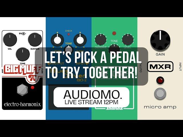 Reverb?  Drive?  Crazy ambient?  Help me pick my next pedal!