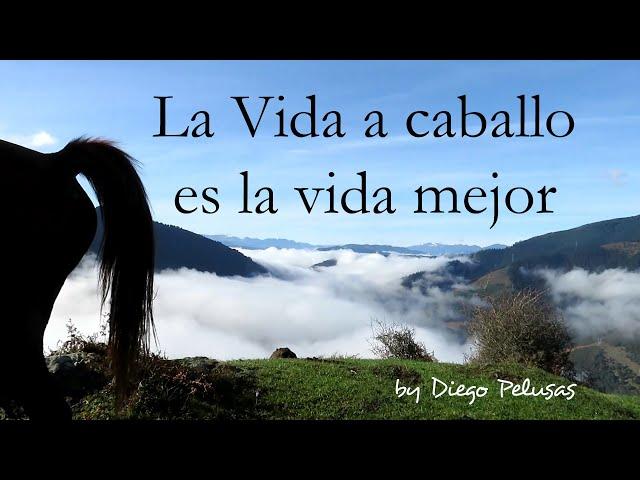 LA VIDA A CABALLO ES LA VIDA MEJOR