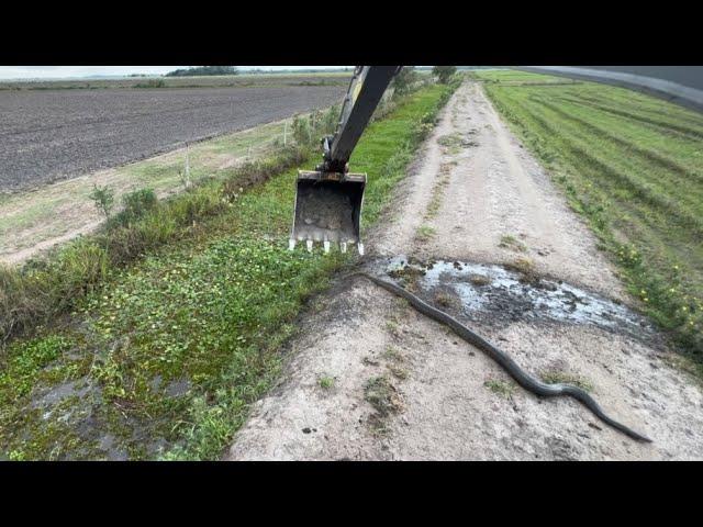 TIREI UMA SUCURI DE TENDRO DA VALETA, escavadeira hidráulica