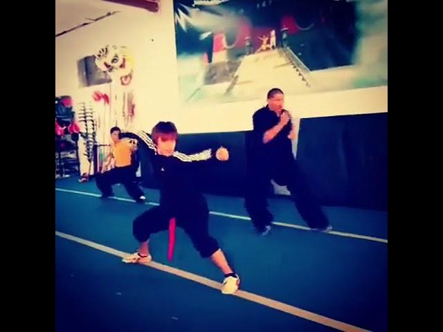 Wushu Shaolin Kung Fu Training