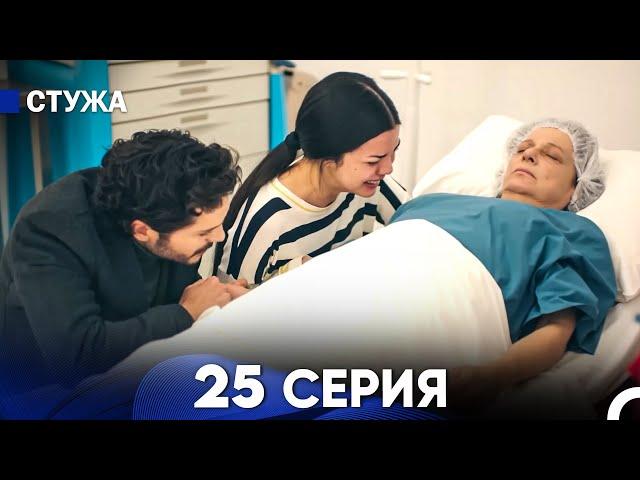 Стужа 25 Серия (Русский Дубляж)