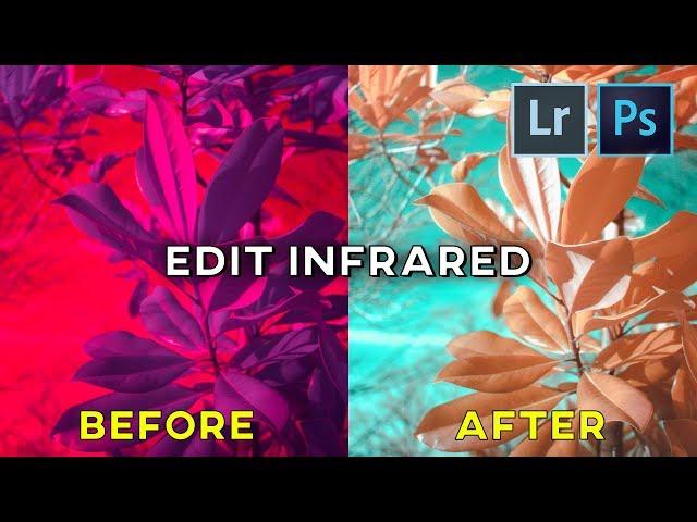 How to Edit Infrared Photos in Lightroom and Photoshop