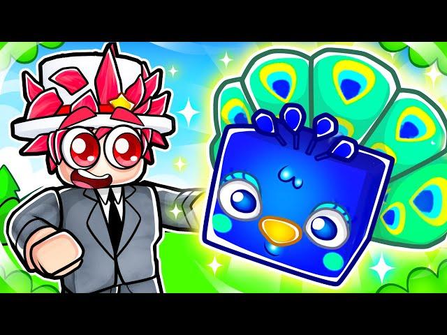 I Got Huge Peacock in Pet Simulator X?!