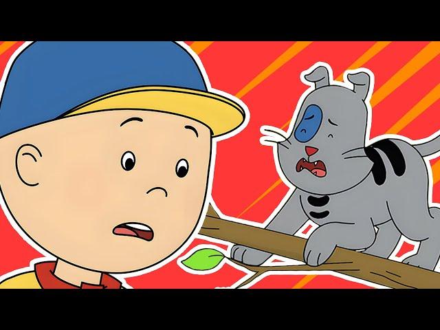 Accident de Gilbert | Caillou en Français