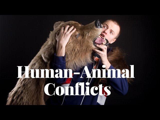 Human Animal Conflicts | Understanding Animal Responses to Human Encroachment