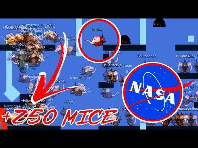 GMWP 40.000 FIRSTS! «RELÂMPAGO» (+250 MICE - NASA & FAILS) | TRANSFORMICE