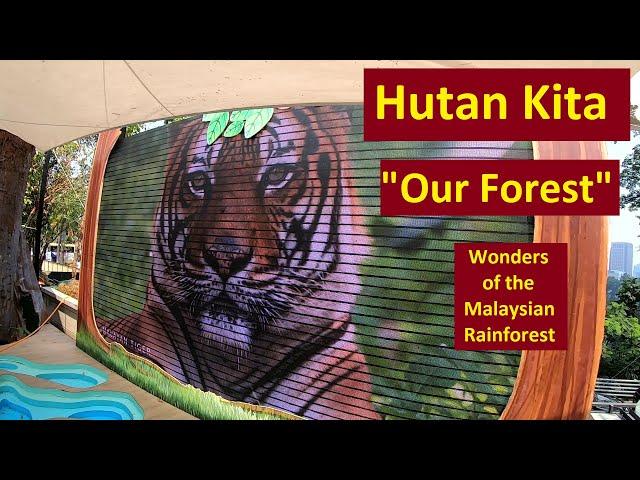 TIGERS & ELEPHANTS AT KL TOWER - Hutan Kita Exhibition ("Our Forest")