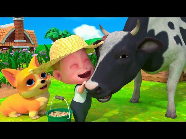 Moo Moo Cow Nursery Rhymes | Baa Baa Black Sheep Song | +More Kids Songs & Nursery Rhymes