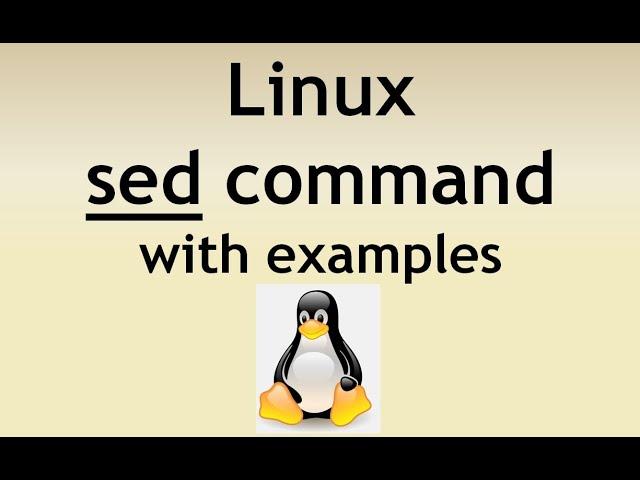 SED command in Linux, Unix with examples | How to use SED command | Linux Tutorials