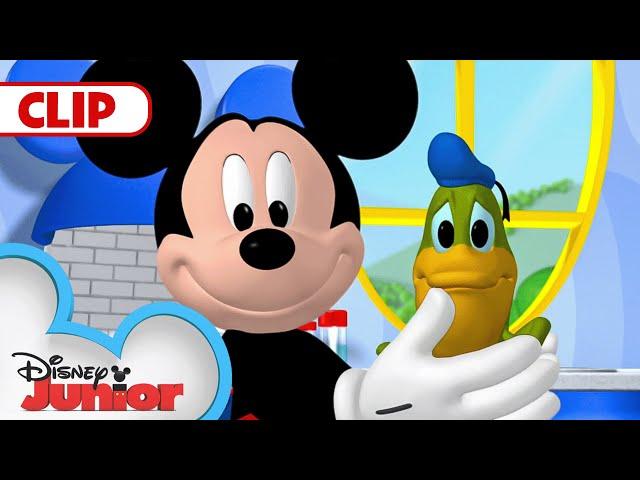 Donald Turns Into a Frog!  | Mickey Mouse Clubhouse |  @disneyjr​