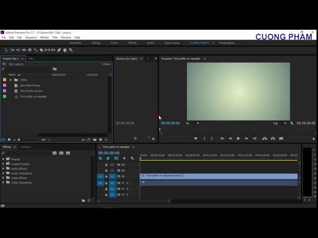 Adobe Premiere Pro CC 2015 hướng dẫn