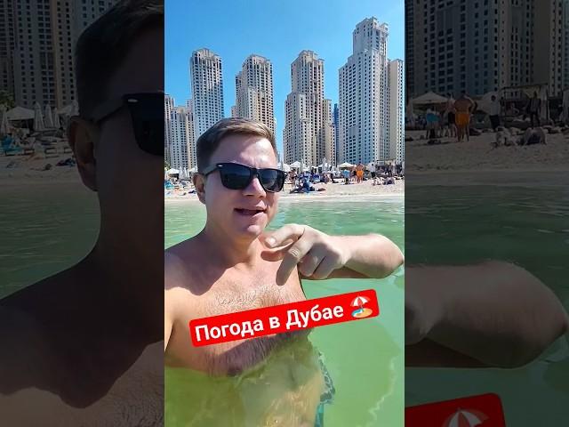 Погода в Дубае - можно ли купаться зимой? Пляж Дубай Марина JBR #дубай #путешествия