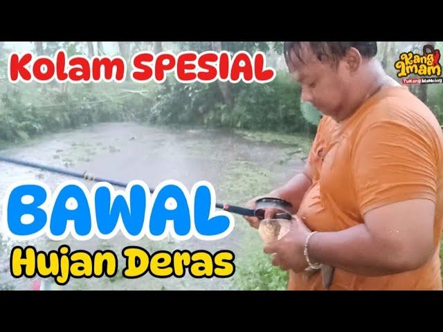 174 : Ya Ampuun,... hujan deras pun tetap lanjut !! mancing bawal tiket murah