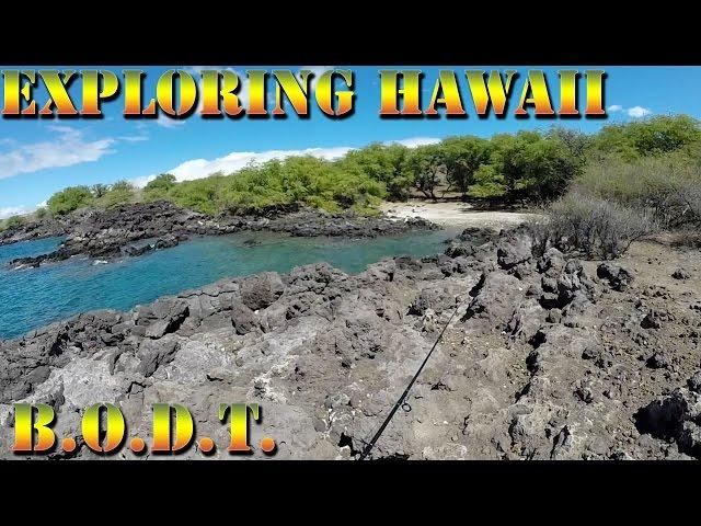 Exploring The Kohala Coast - Hawaii Hiking - Braddahs On Da Trail - Episode 1