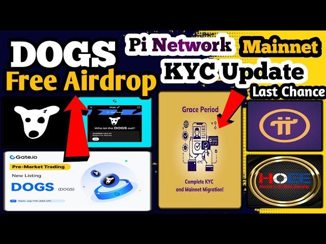  Pi Mainnet KYC Update/ Dogs Token Update/ Pi News Today/ Dogs Pre Market listing/ Online earning