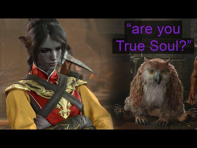 Baldur's Gate 3: "You're mistaken, I'm no True Soul"