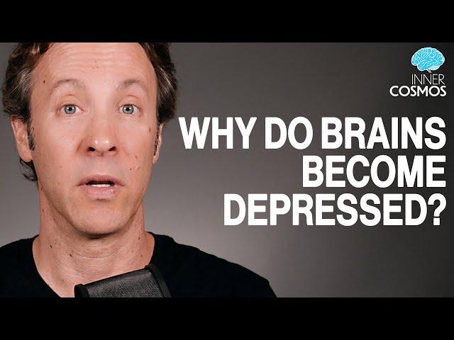 Ep 48: Why do brains become depressed? | INNER COSMOS WITH DAVID EAGLEMAN