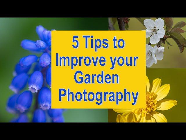 5 Tips to improve your Garden Photography